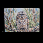 Load image into Gallery viewer, Birds

