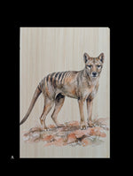 Load image into Gallery viewer, Australian Animals
