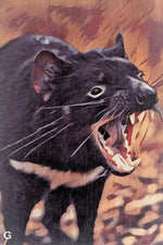 Load image into Gallery viewer, Australian Animals
