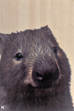 Load image into Gallery viewer, Australian Animals
