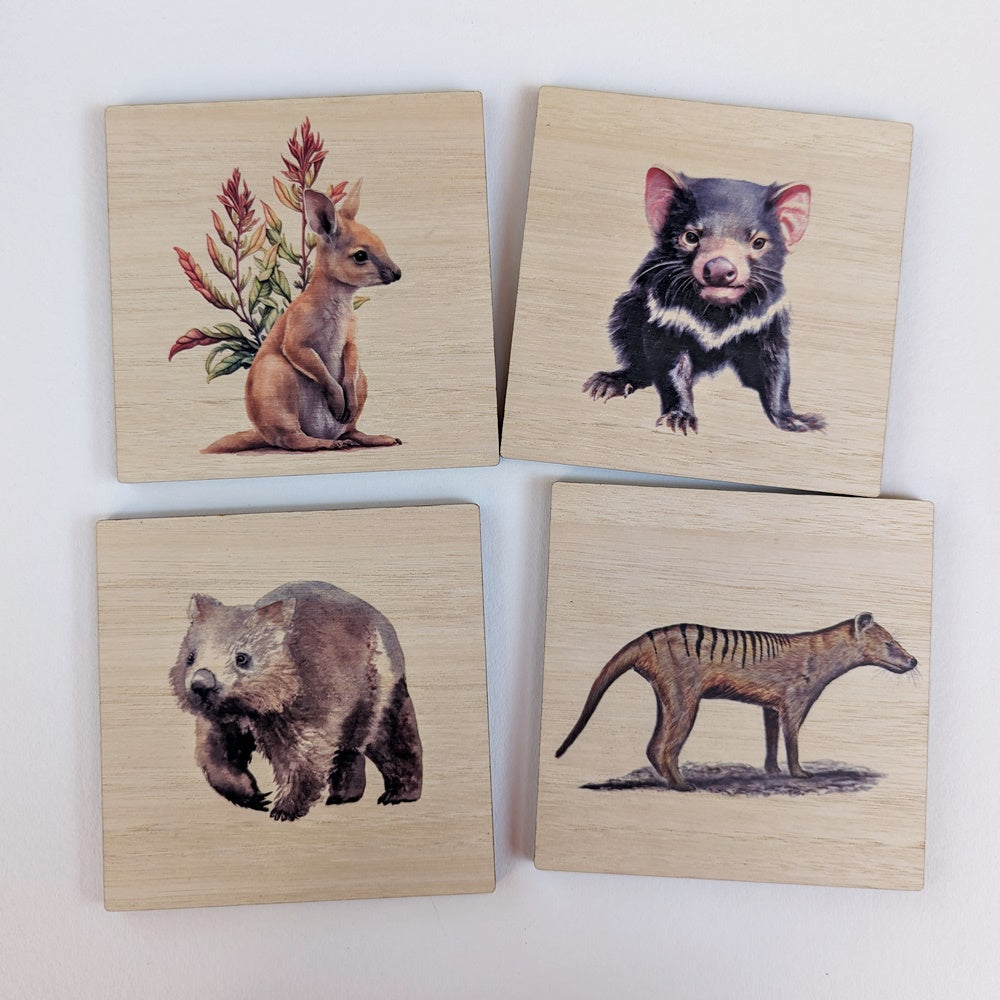 Australian Native Animal Coasters