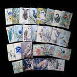 Load image into Gallery viewer, Birds
