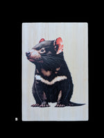 Load image into Gallery viewer, Australian Animals
