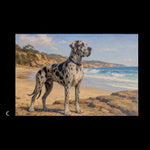 Load image into Gallery viewer, Dogs

