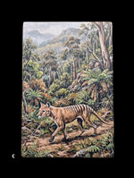 Load image into Gallery viewer, Australian Animals
