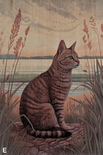 Load image into Gallery viewer, Cats
