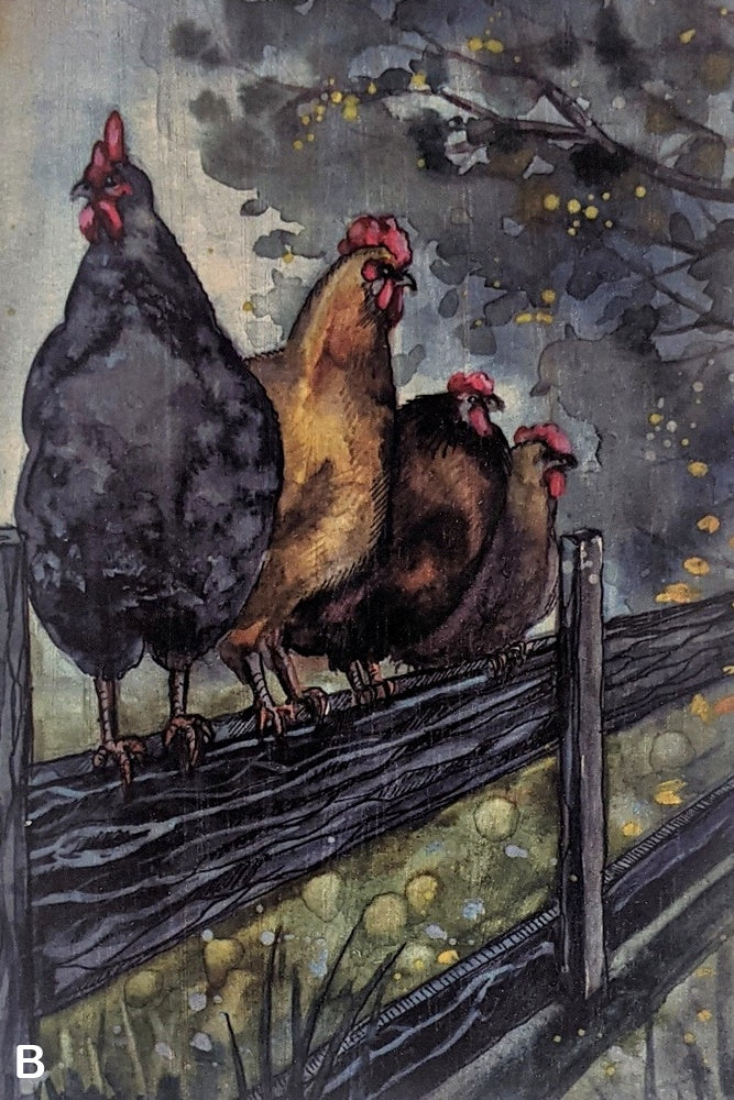 Chickens