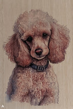 Load image into Gallery viewer, Dogs
