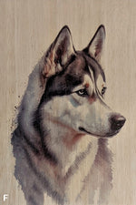 Load image into Gallery viewer, Dogs
