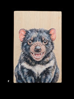 Load image into Gallery viewer, Australian Animals
