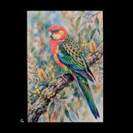 Load image into Gallery viewer, Birds
