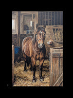 Load image into Gallery viewer, Misc animals and insects
