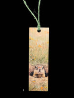 Load image into Gallery viewer, Animals Misc
