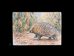 Load image into Gallery viewer, Australian Animals
