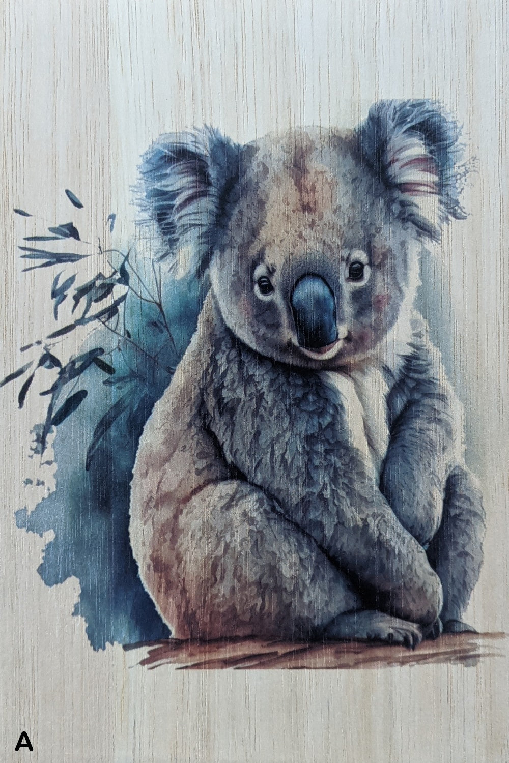 Koalas