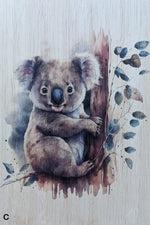 Load image into Gallery viewer, Koalas
