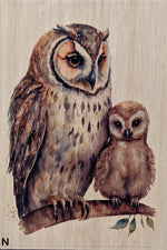Load image into Gallery viewer, Owls
