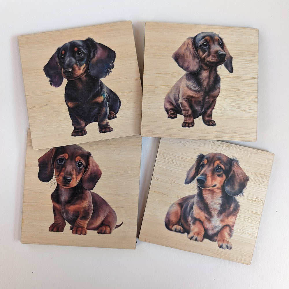Dachshund  Coasters