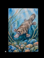 Load image into Gallery viewer, Australian Animals
