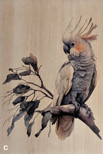 Load image into Gallery viewer, Native Birds
