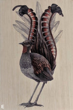 Load image into Gallery viewer, Native Birds
