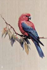 Load image into Gallery viewer, Native Birds
