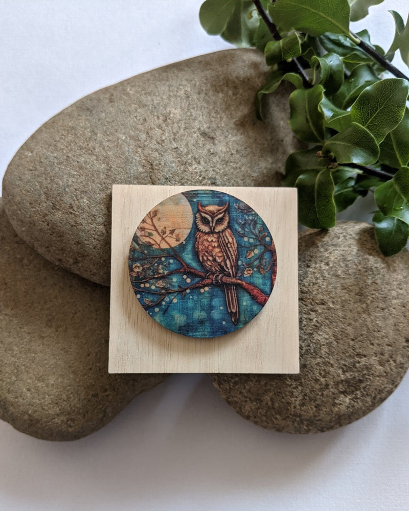 Owl nightime brooch