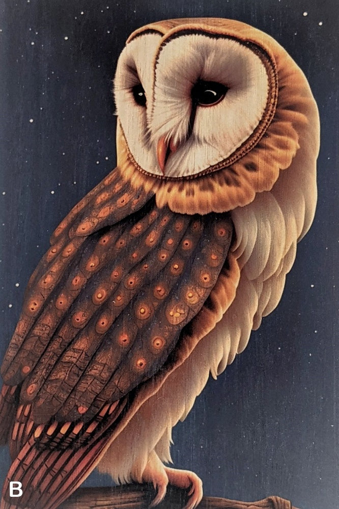 Owls