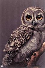 Load image into Gallery viewer, Owls
