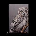 Load image into Gallery viewer, Birds
