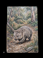 Load image into Gallery viewer, Australian Animals
