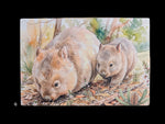 Load image into Gallery viewer, Australian Animals
