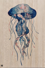 Load image into Gallery viewer, Sealife
