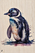 Load image into Gallery viewer, Sealife
