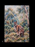 Load image into Gallery viewer, Australian Animals
