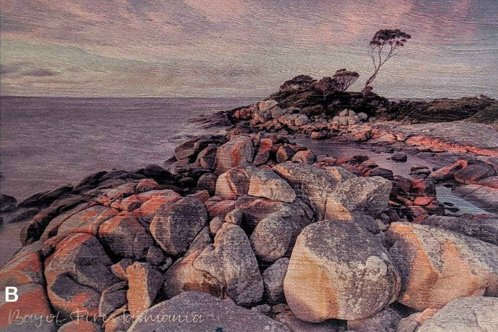 Tasmanian landscapes