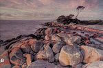 Load image into Gallery viewer, Tasmanian landscapes
