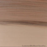 Load image into Gallery viewer, Kookaburra decoration
