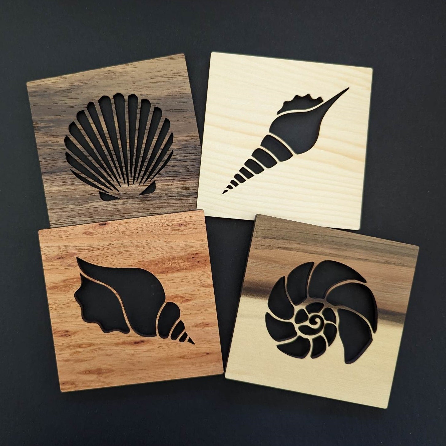 Shell Coasters