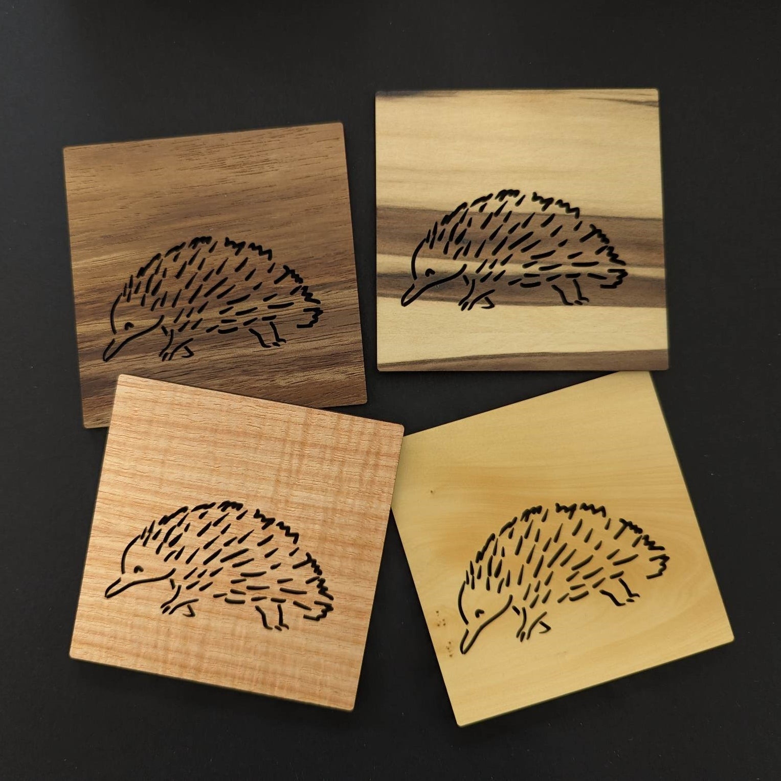Echidna Coasters