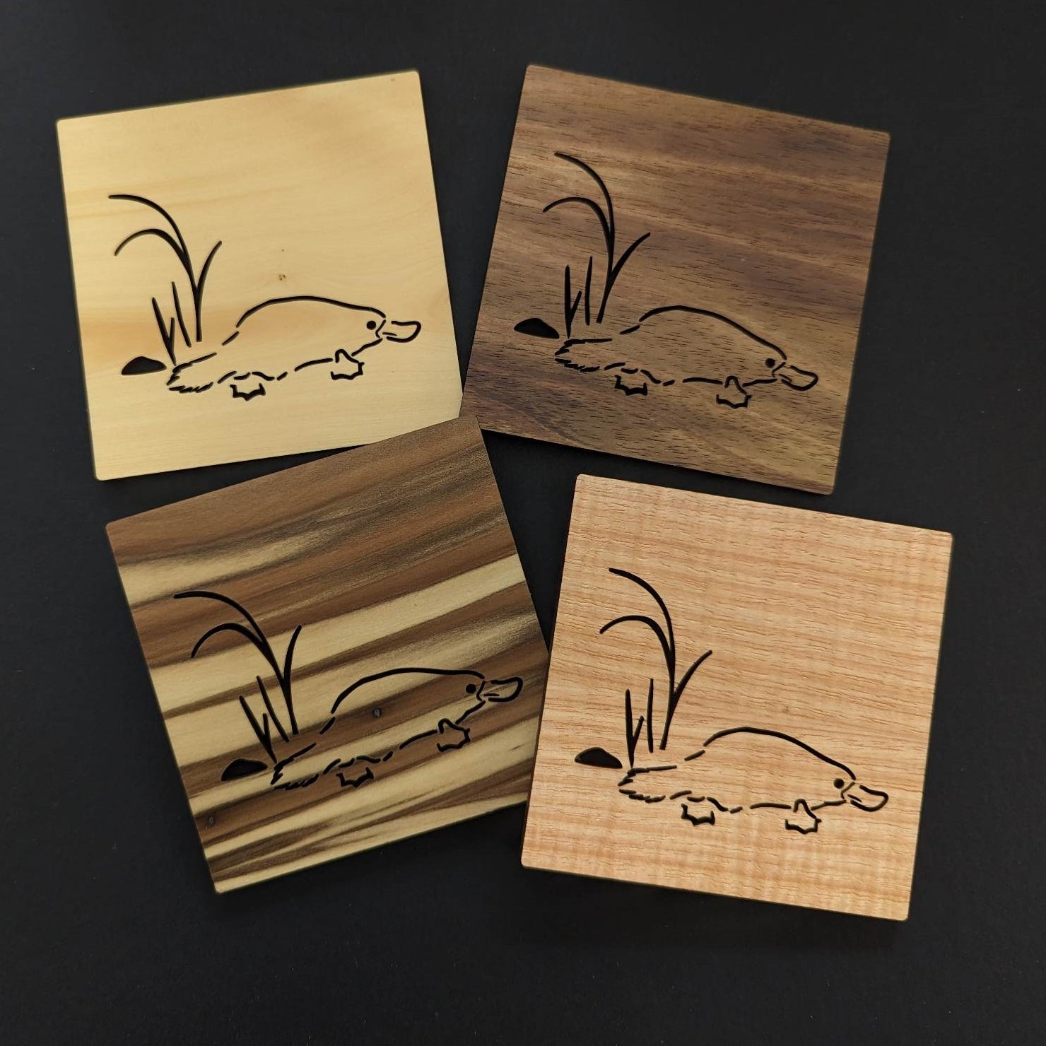 Platypus Coasters