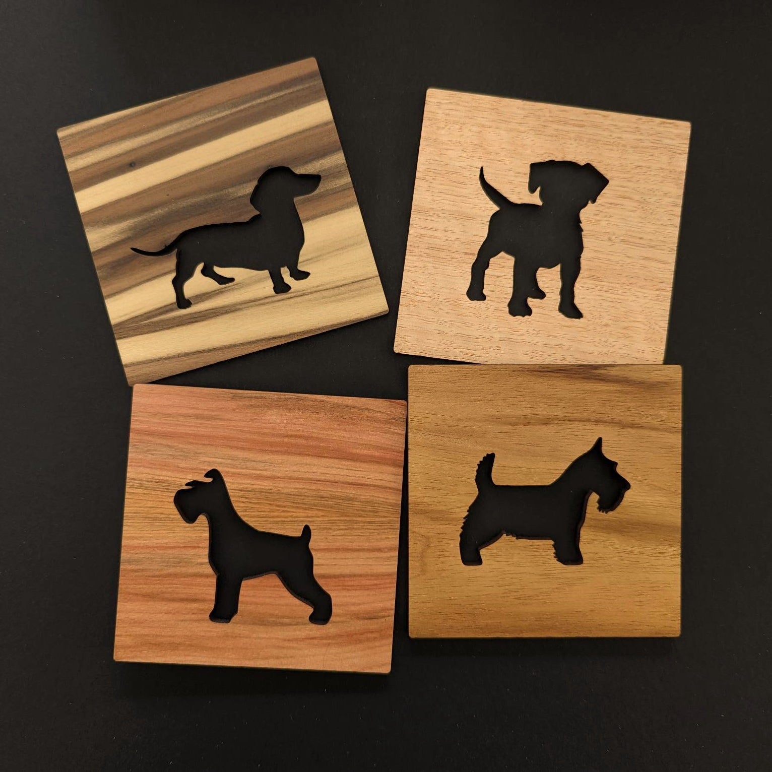 Dog Coasters