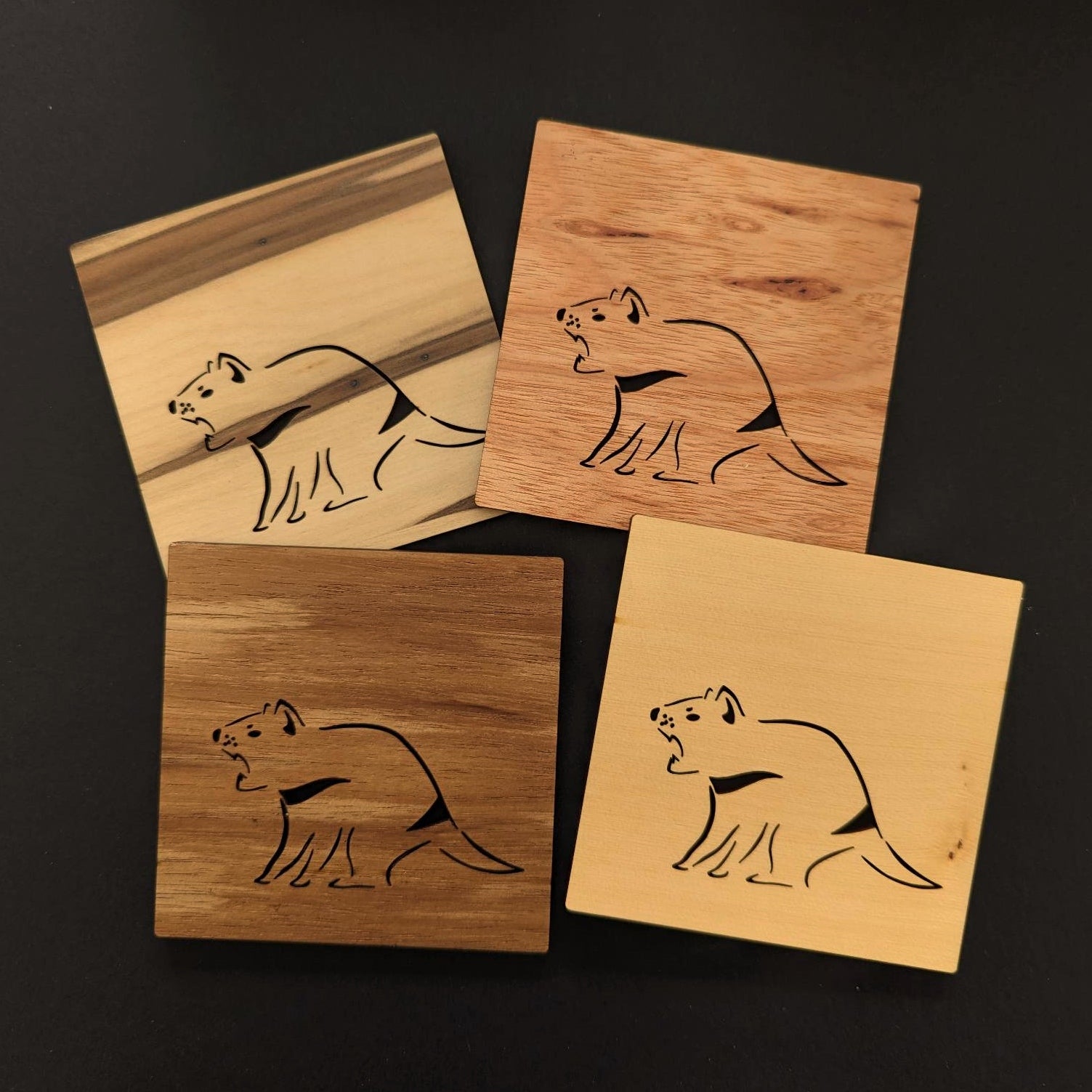 Tasmanian Devil Coasters