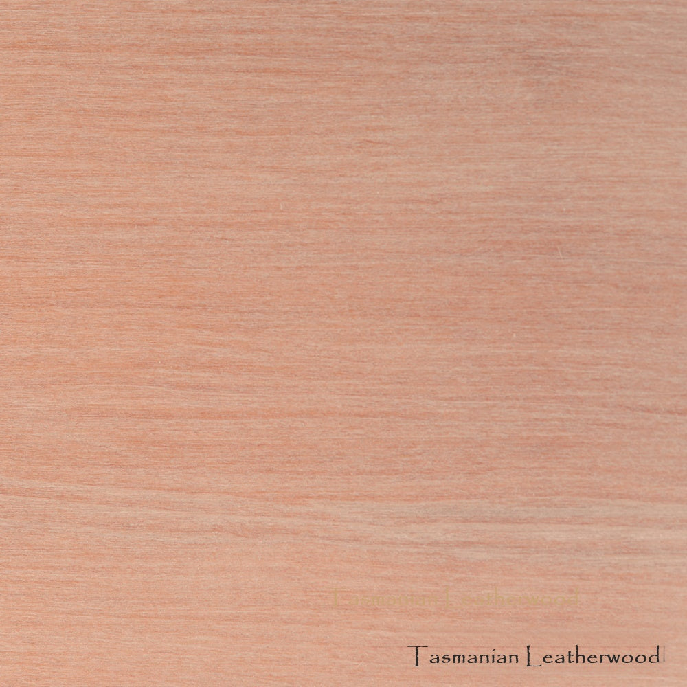 Birds On The Wire Notebook