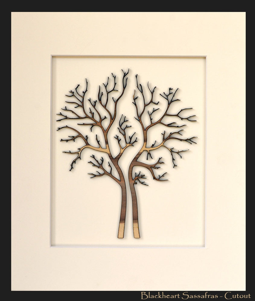 Tasmanian Timber. Split Tree Of Life Panel 11